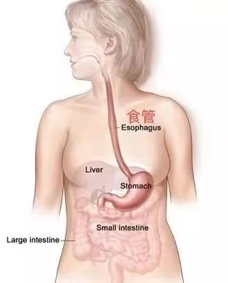 饭后反酸、打嗝烧心、食道裂孔…趁热吃，吃出中国特色的食管癌