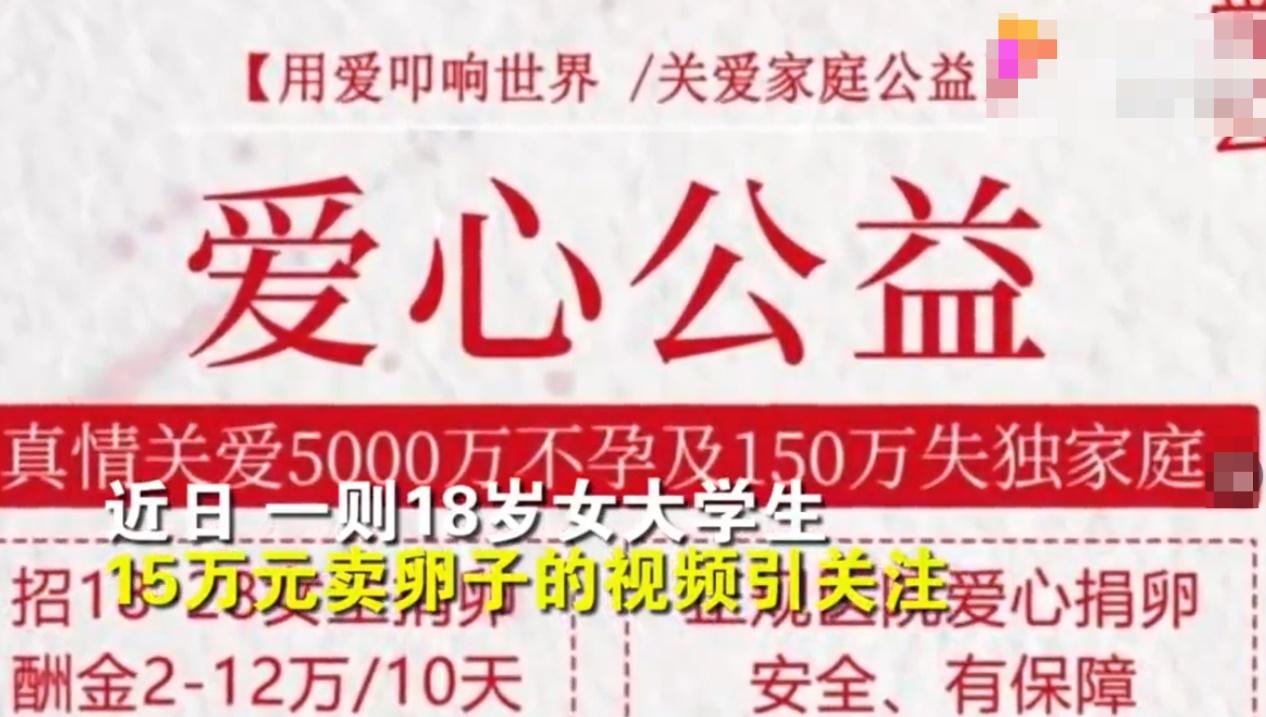 姑娘，卖卵吗？一次6万的那种，漂亮学历高还能加钱