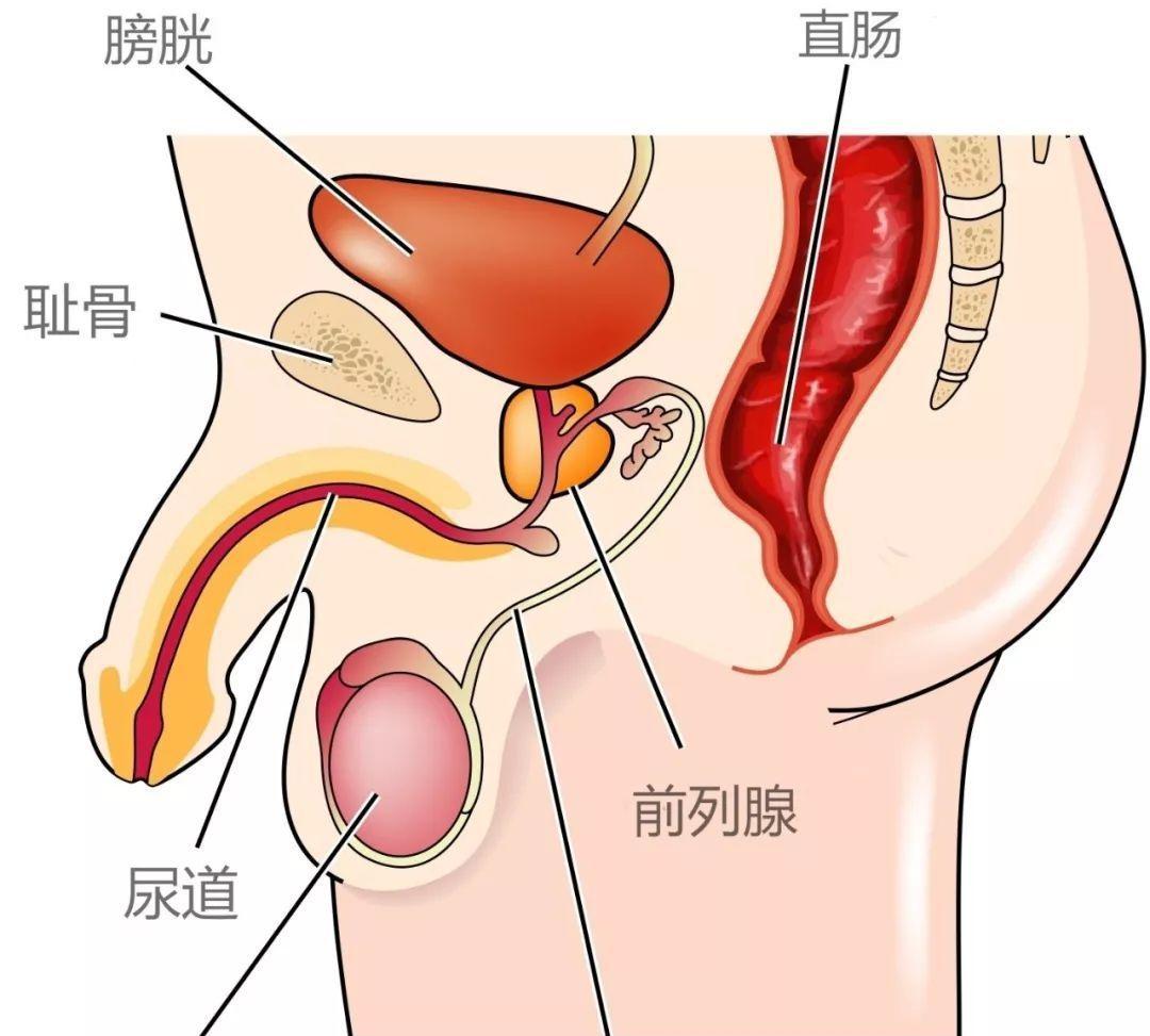 男人切除了“两颗蛋”，还能有性生活吗？结果难以接受