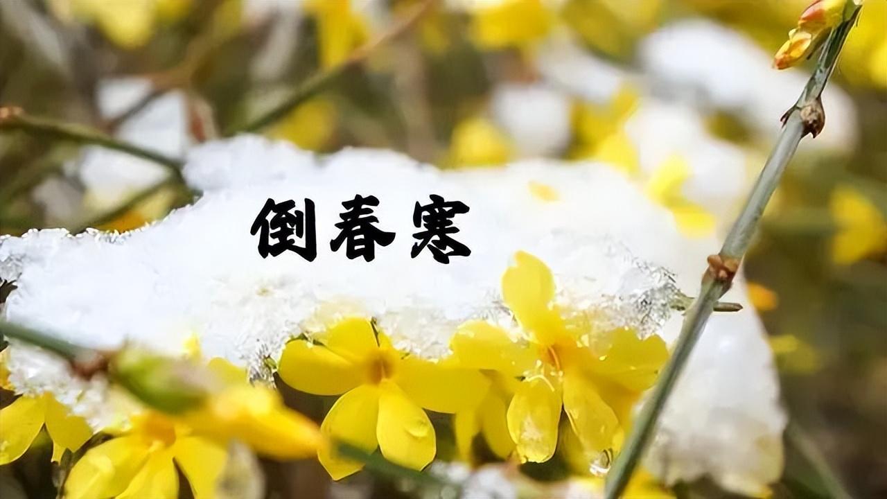 “一年两个春，寡妇遍地分”！今年倒春寒，50岁以上的人要注意！