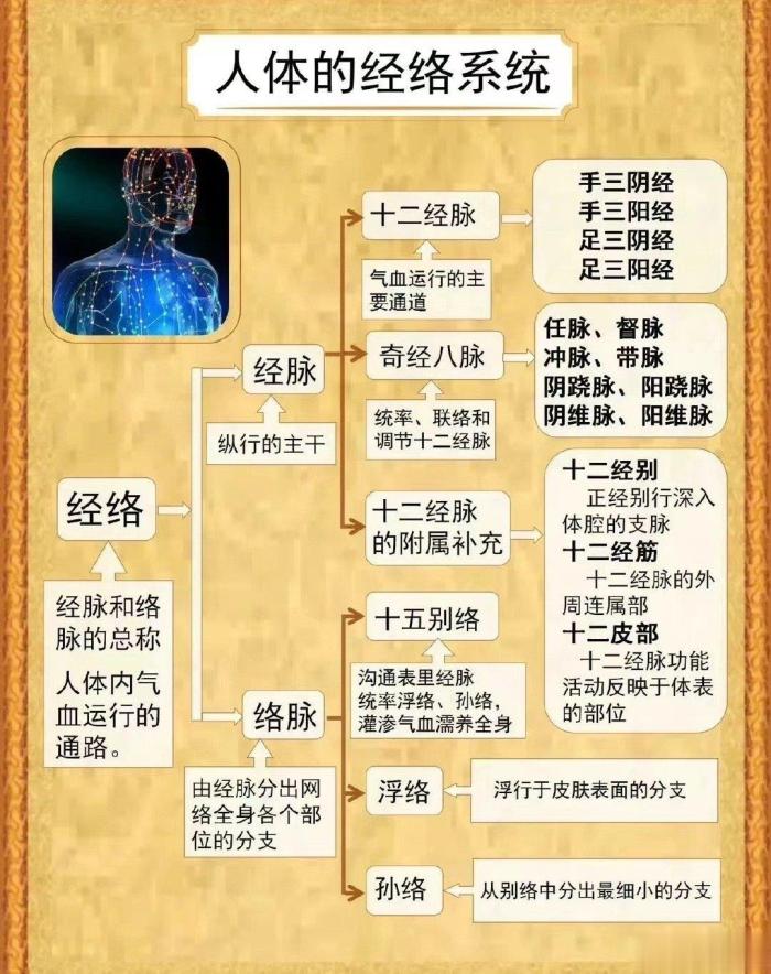 人体经络系统最全概览图，喜欢中医的朋友建议收藏，学习的时候可以拿出来看看，对经络系统建立整体观很有帮助