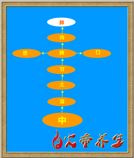 倪海厦《黄帝内经》笔记（五七）第五篇·阴阳应象大论