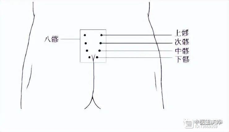 解决“妇科病”的总开关找到了，居然在屁股上面，找准艾灸即可