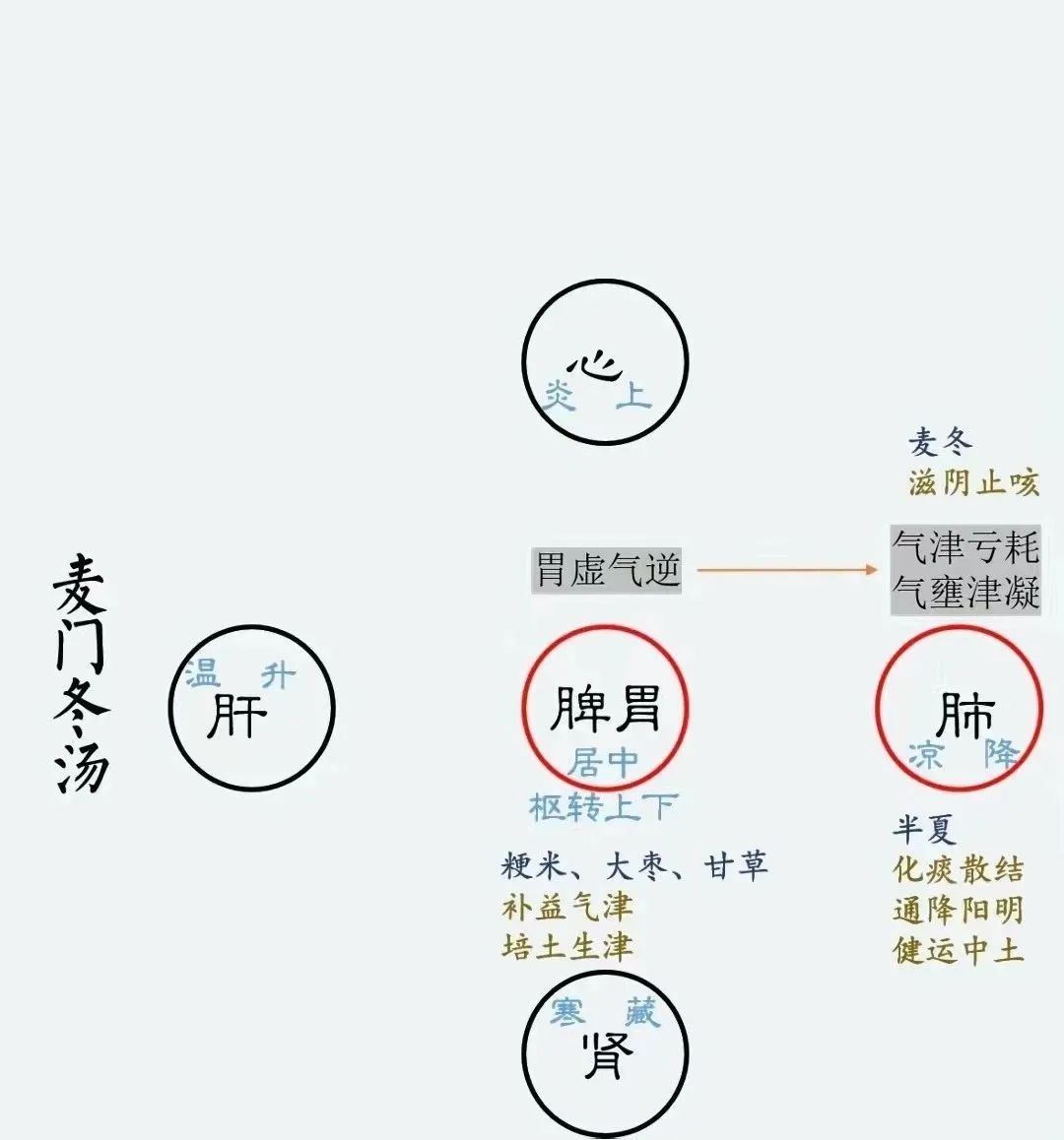 麦门冬汤，可用于慢性支气管炎及咽喉炎、胃及十二指肠溃疡、慢性萎缩性胃炎