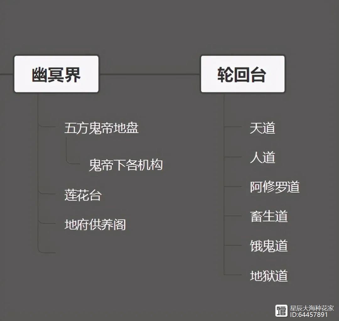 人“死后”会经历怎样的过程？科学家：“生前”的这个指标很关键