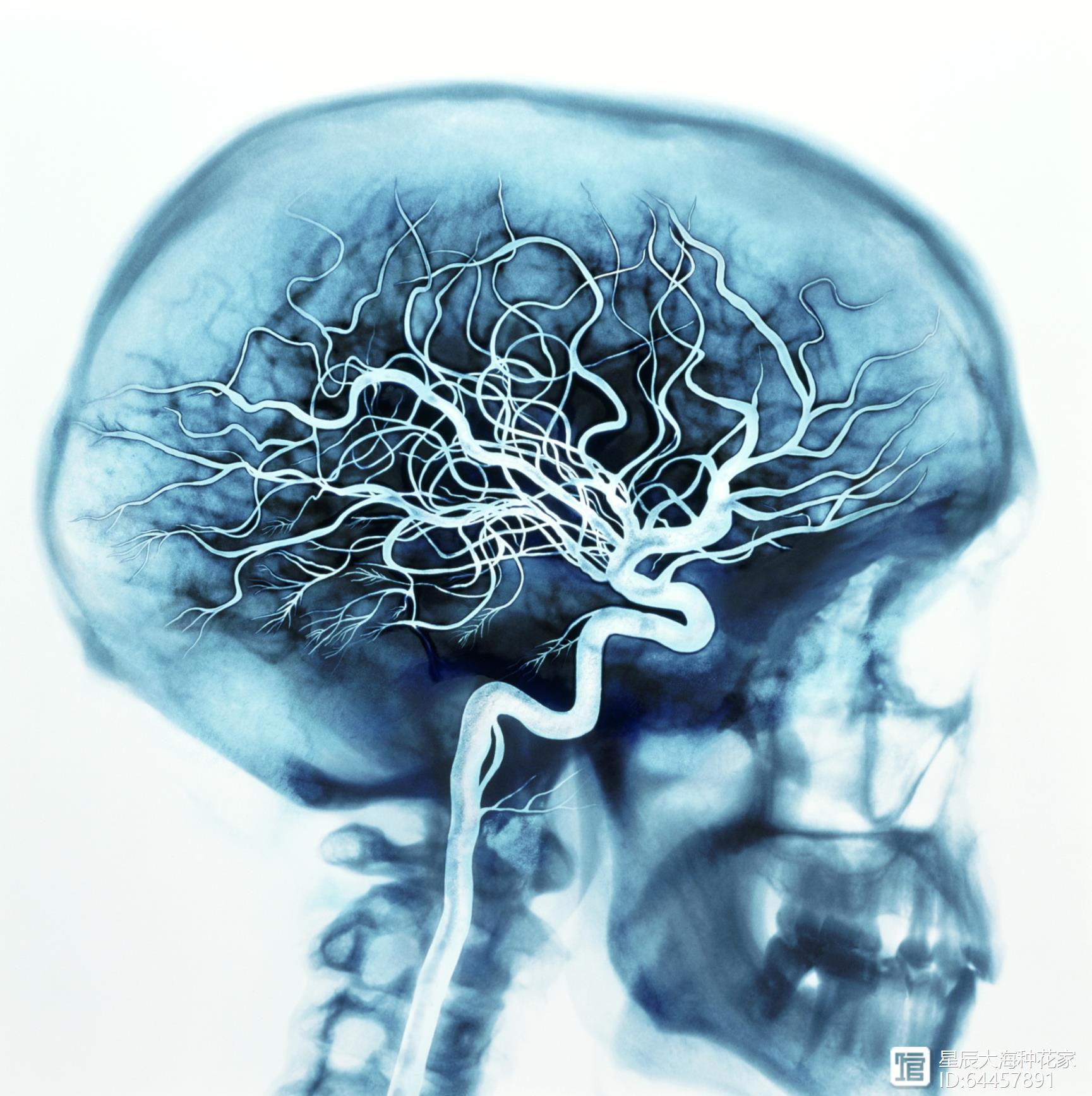 人“死后”会经历怎样的过程？科学家：“生前”的这个指标很关键