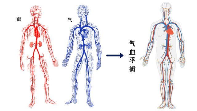 文章图片16