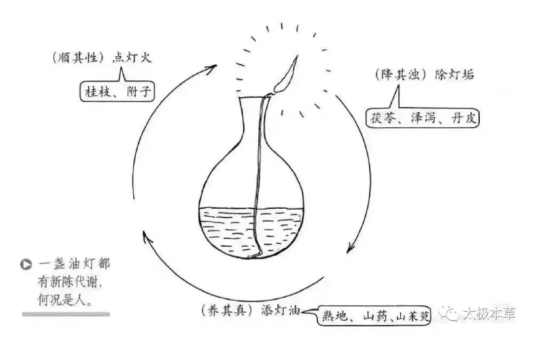 肾气丸, 温补肾气，可治疗腰腿酸软、咳而尿出或尿后余沥、肾虚水肿、四肢不温