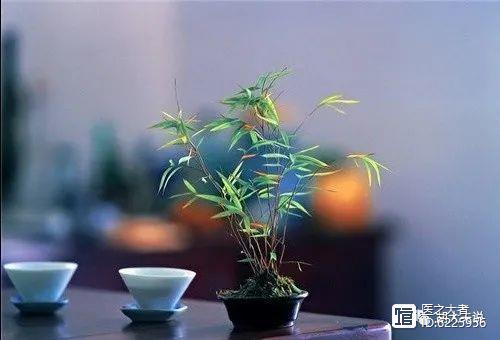 中医治疗骨关节炎的来龙去脉