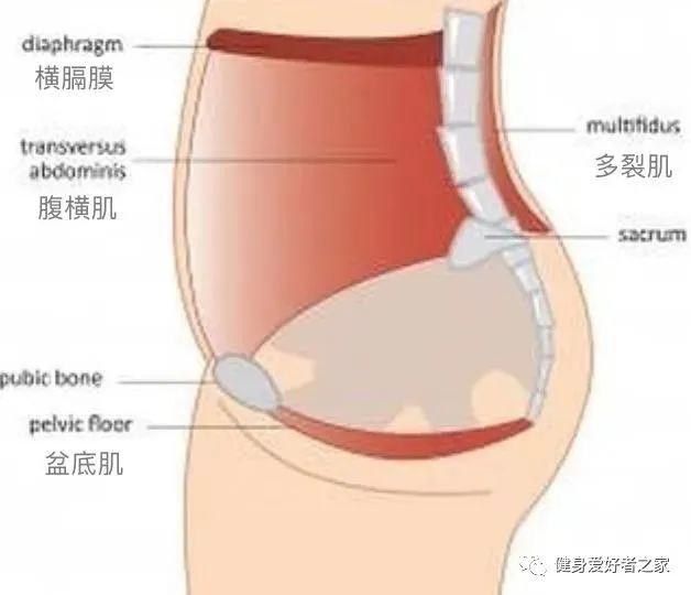 三个经典动作，疯狂燃烧卡路里，减脂塑形效果好！