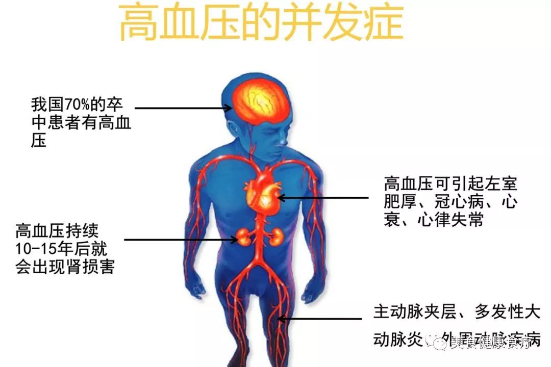 高血压怎么办?带你认识高血压形成的原因、危害、注意事项，高血压调理食物、食疗方、偏方、秘方，高血压病人生活指导