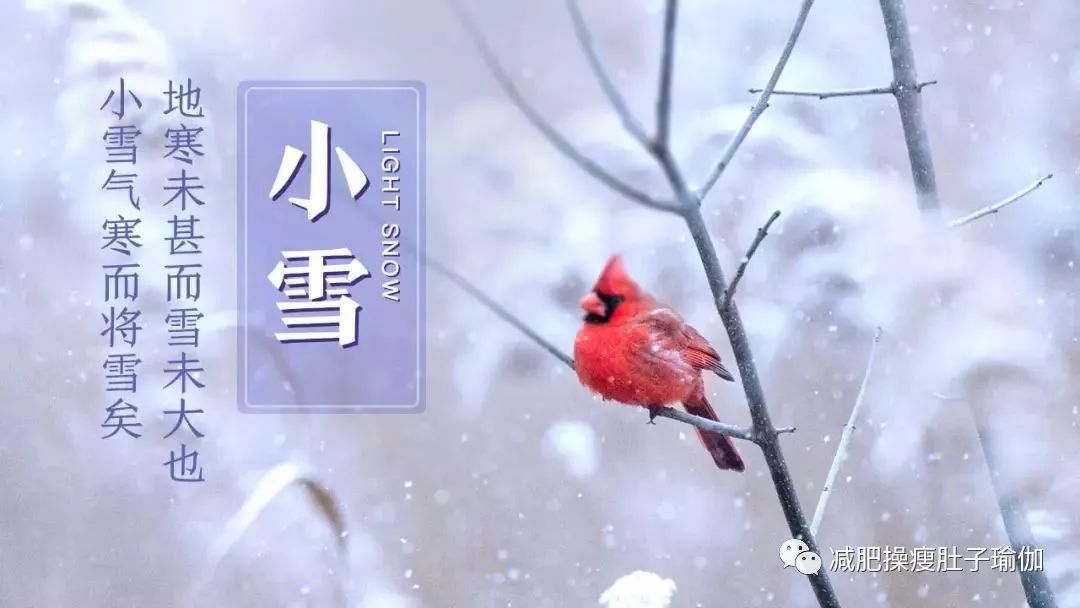 小雪养生攻略 ：宜防寒保暖，多吃这些食物防抑郁