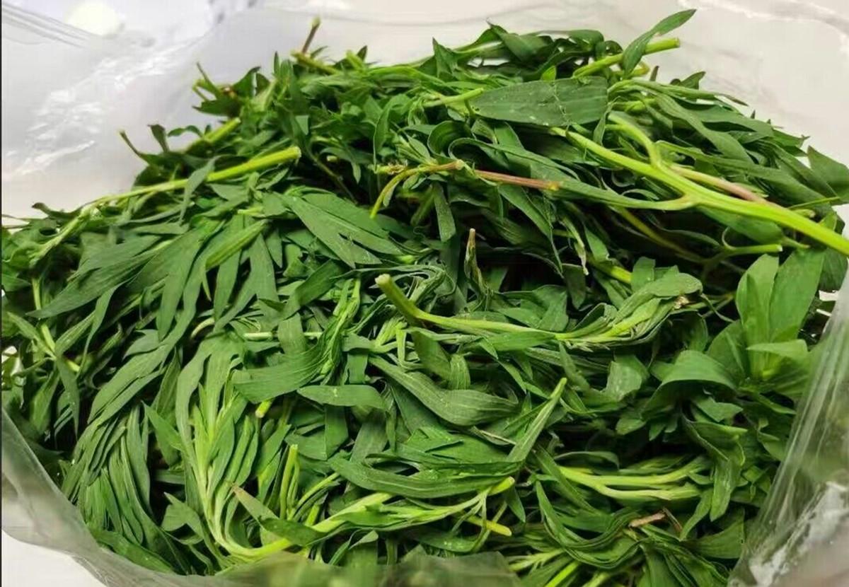 5月，这菜使劲吃，比荠菜营养，比蒲公英鲜，可惜很多人当草！