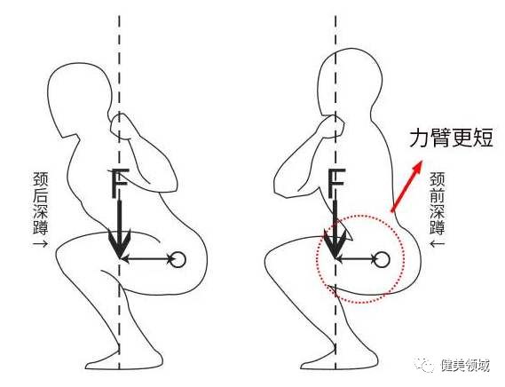 身材比例不协调？腿部一直没变化？这里有训练动作和方法