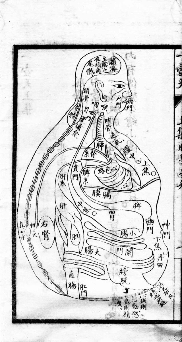 中医秘方古书籍 一壶天全卷