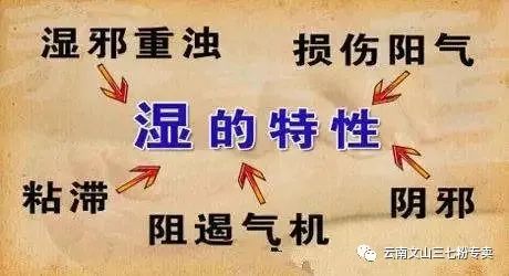 揭秘三伏天最有效的排湿秘诀！短短5分钟，体内湿气浊气全无！