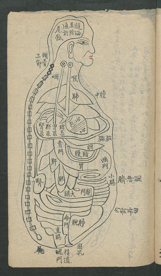 中医秘方古书籍 外科图形法治手抄本