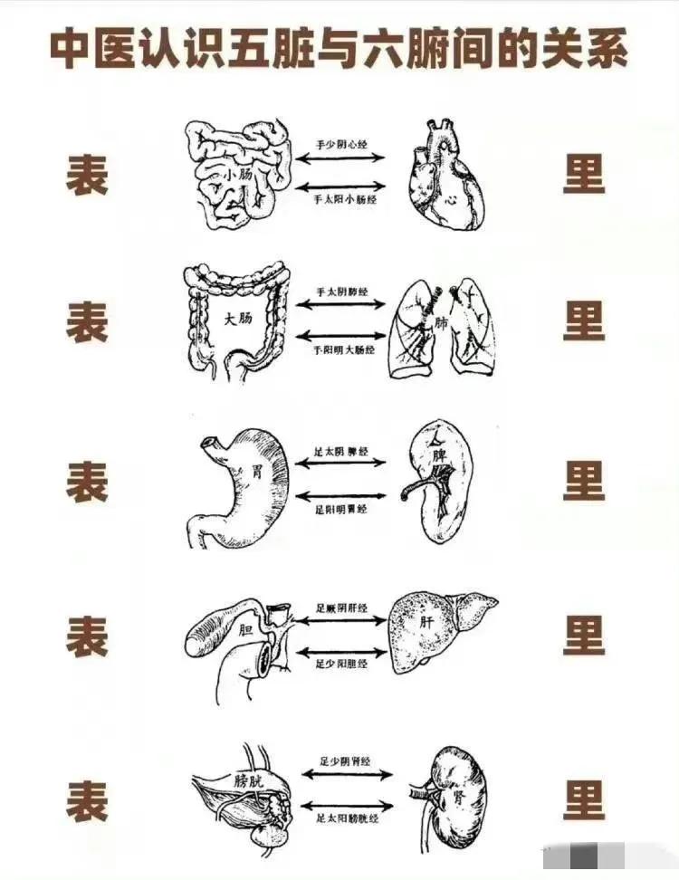 五脏六腑最好的补药[给力][给力]