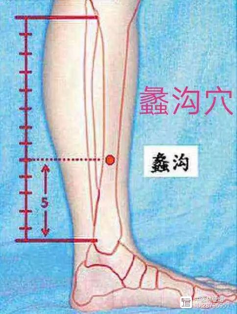 听春宏老师聊中医（第90期）：内经治腰痛系列十三