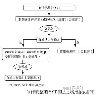 张海澄解读美国室上速指南：流程更实用，多新药上位