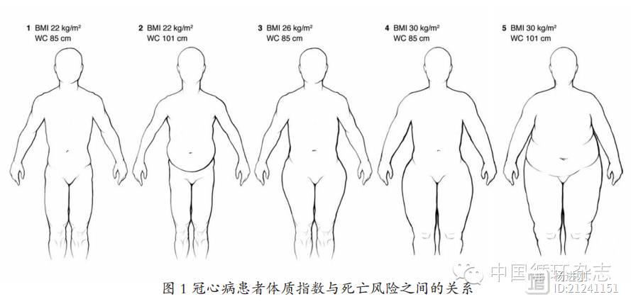 谁是最危险的胖子？答案出乎你想象