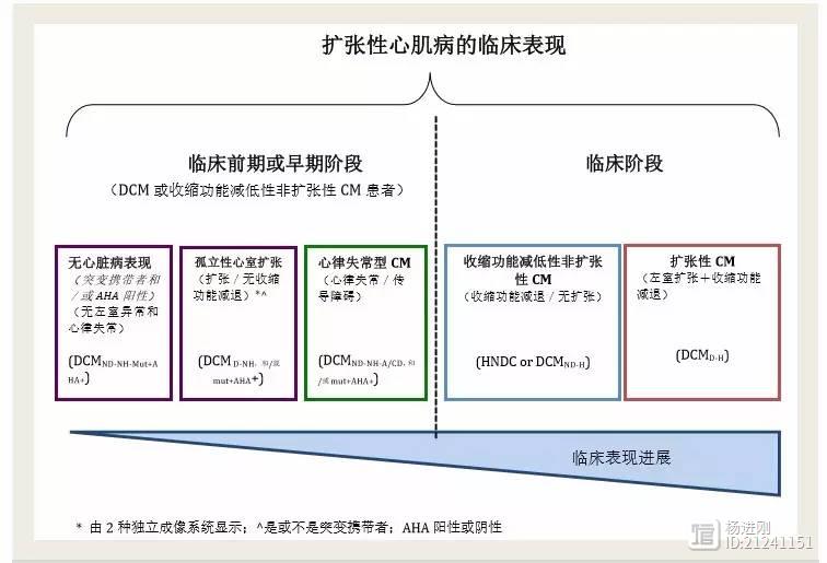 ESC提出一个新病：收缩功能减低性非扩张型心肌病