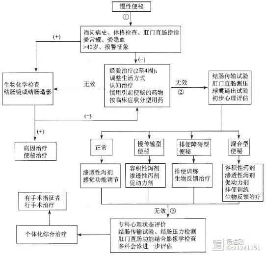 中国慢性便秘诊治指南：对付便秘有四要素