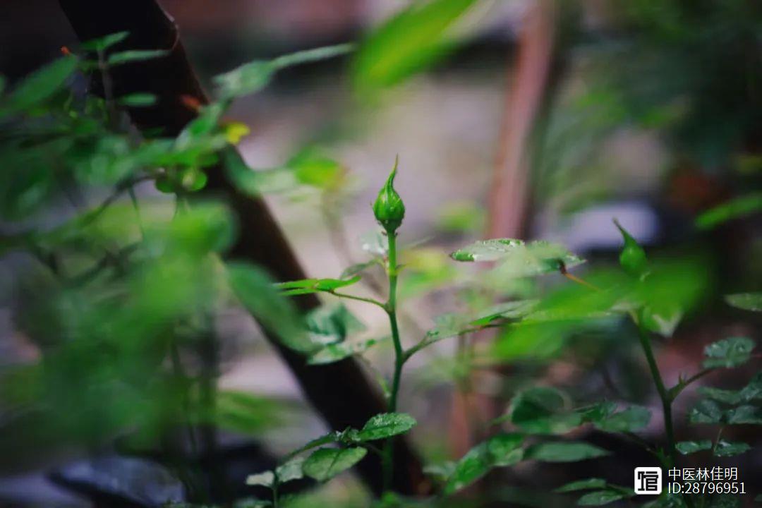 谨记自己的价值所在，这就是，人活着的道理