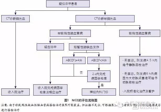 得了脑中风没有残疾？中国卒中学会防范再次发作指南要点