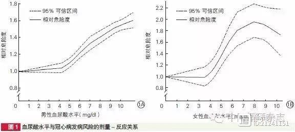 兰州大学学者：血尿酸每增加1 mg/dl，男性冠心病风险增4.8%，女性增12.4%