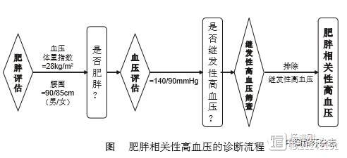 肥胖相关性高血压管理中国专家共识：以下九种情况可能为继发性肥胖