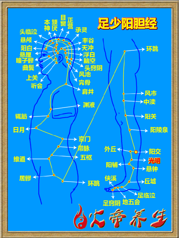 倪海厦针灸笔记（三二四）——足少阳胆经/光明穴