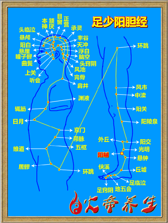 倪海厦针灸笔记（三二五 ）——足少阳胆经/阳辅穴