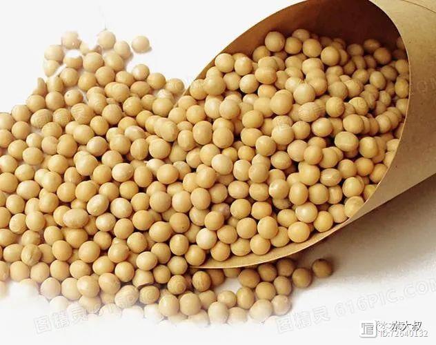 农村俗语：“黄豆煮水解百毒”，好多人不懂啥用，疫情时要多吃！