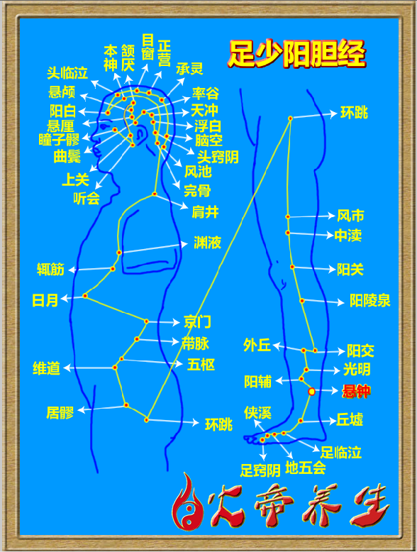 倪海厦针灸笔记（三二六 ）——足少阳胆经/悬钟穴（绝骨）