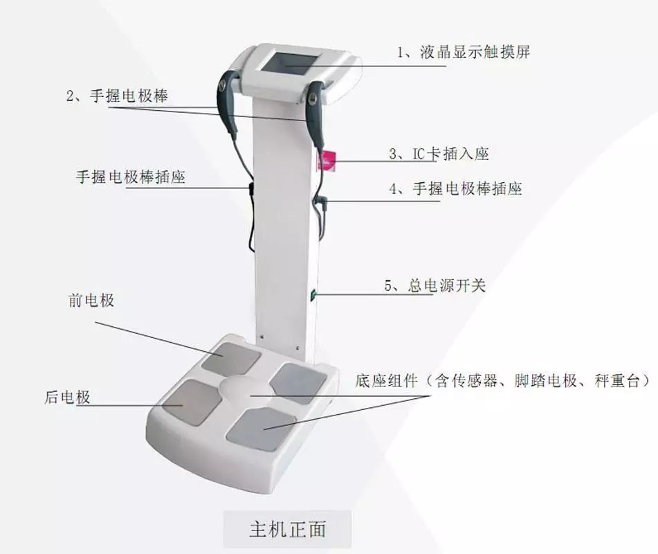 这些专用名词你都认识吗？三分钟教你看懂体测表，不再被忽悠