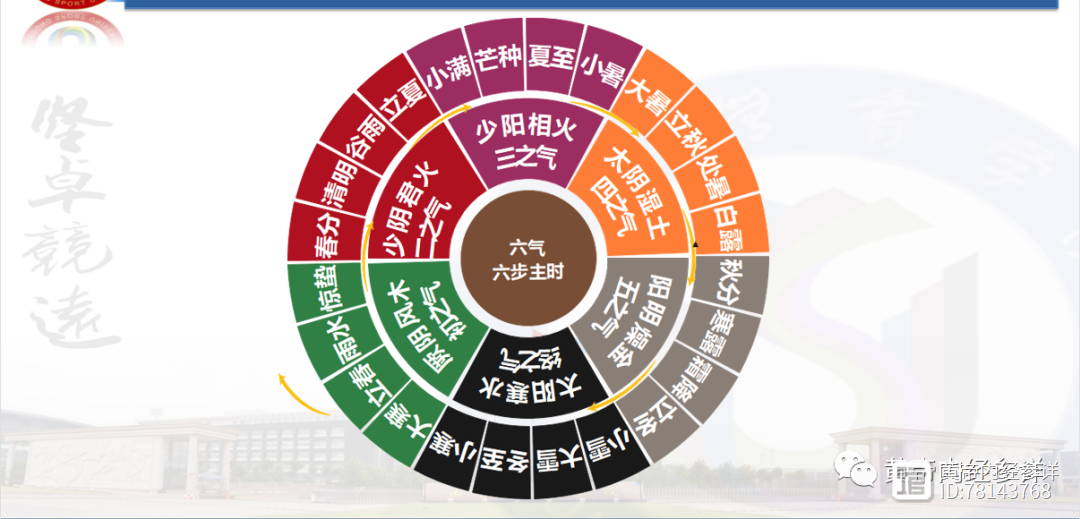 δ195司化之常B：少阳所至为热府为行（形）出，阳明所至为司杀府为庚苍，太阳所至为寒腑（府）为归脏（藏），司化之常也。