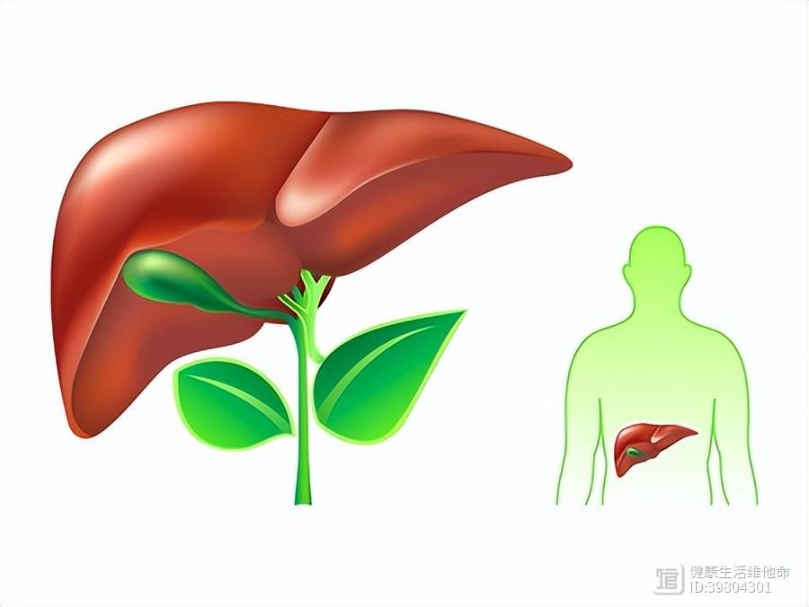 5种容易伤肝的“菜”，喜欢吃的人不少，劝你尽早撤下餐桌