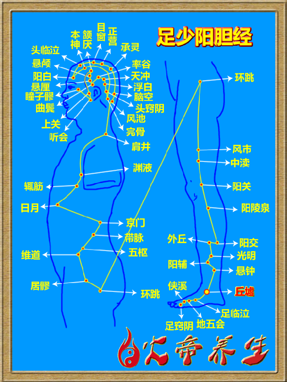 倪海厦针灸笔记（三二八 ）足少阳胆经——丘墟穴