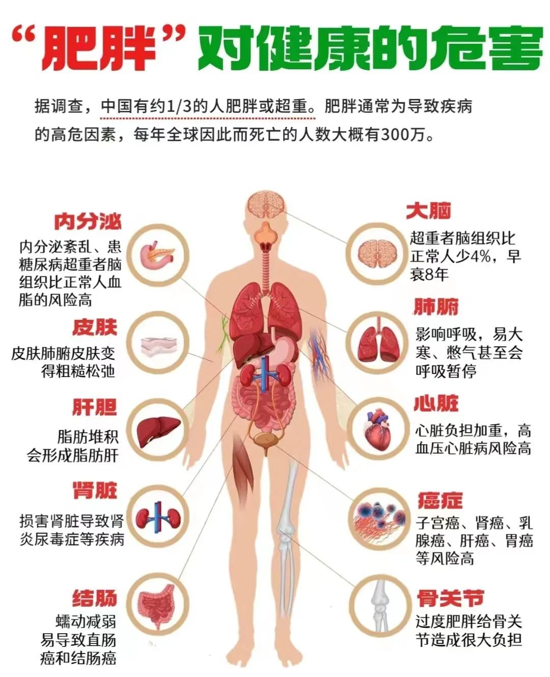 各种类型的肥胖，不用着急！咱老百姓有古方