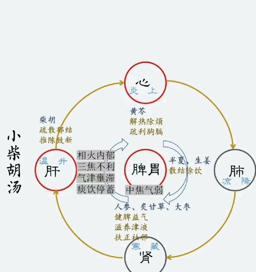 小柴胡汤加减，可用于发热、慢性肝炎、慢性胃炎、尿路结石