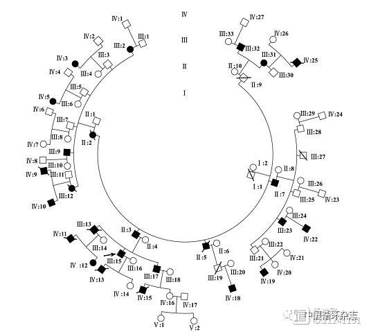 阜外医院学者揭示“不幸家族”背后秘密：第四代人有5位16岁少年猝死，均在早8点，家族中13人猝死