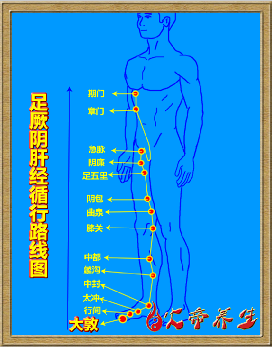 倪海厦针灸笔记（三三五 ）足厥阴肝经/大敦穴——疟气、子宫下垂、性病、阴部痛