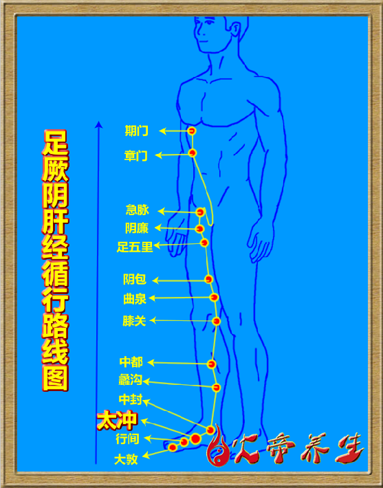 倪海厦针灸笔记（三三七 ）足厥阴肝经/太冲穴