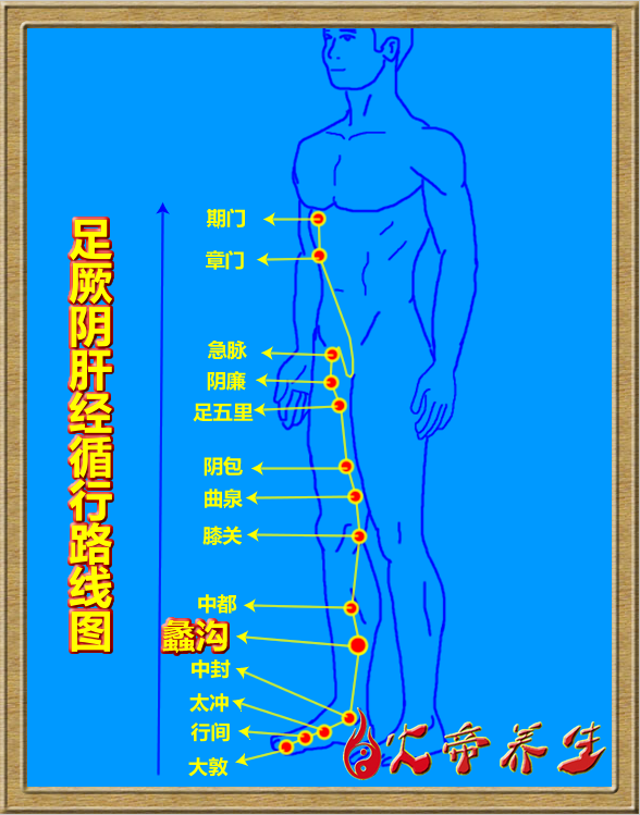 倪海厦针灸笔记（三三九 ）足厥阴肝经/蠡沟穴