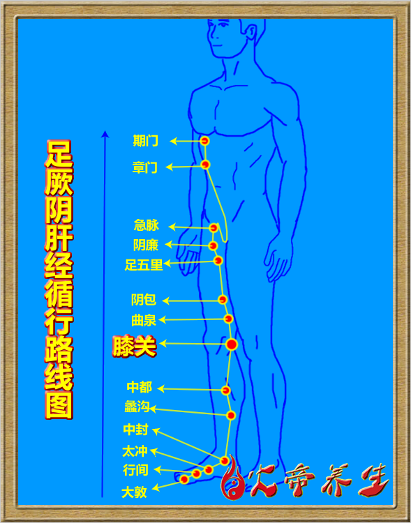 倪海厦针灸笔记（三四一）足厥阴肝经/膝关穴