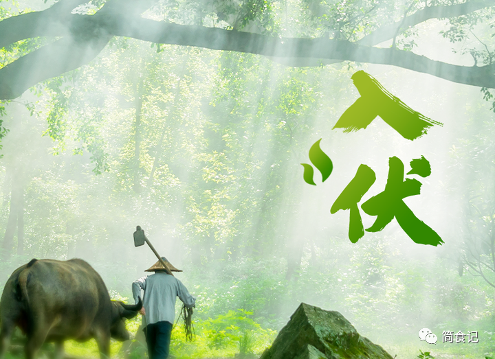 “入伏不排毒，一年身体堵”，入伏后常吃4种菜，排毒祛湿一身轻
