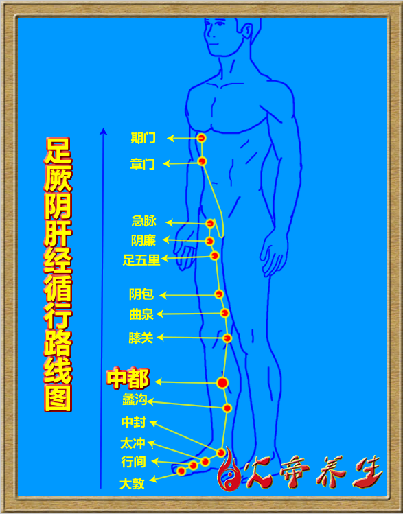 倪海厦针灸笔记（三四0 ）足厥阴肝经/中都穴