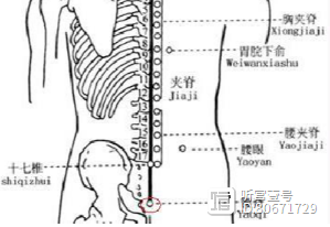 此穴，从名字上看，治腰有奇效，名叫腰奇穴