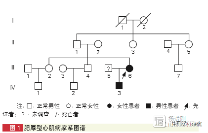 阜外医院宋雷等对14岁心衰女孩“追凶”，罪犯竟祸及两代